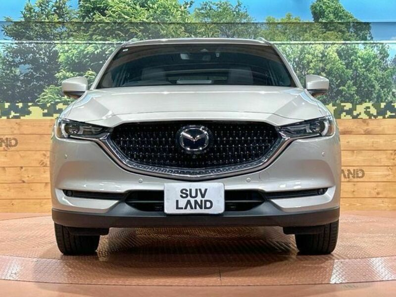 CX-8-14