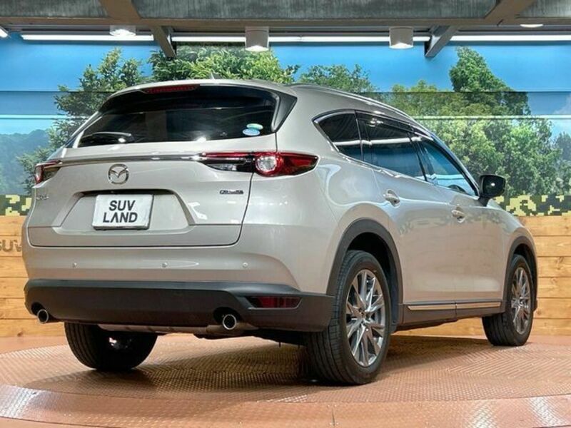 CX-8-17