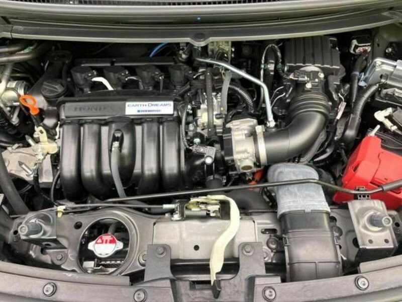 FREED HYBRID-18