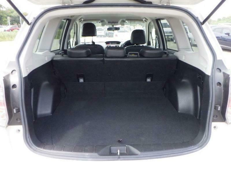 FORESTER