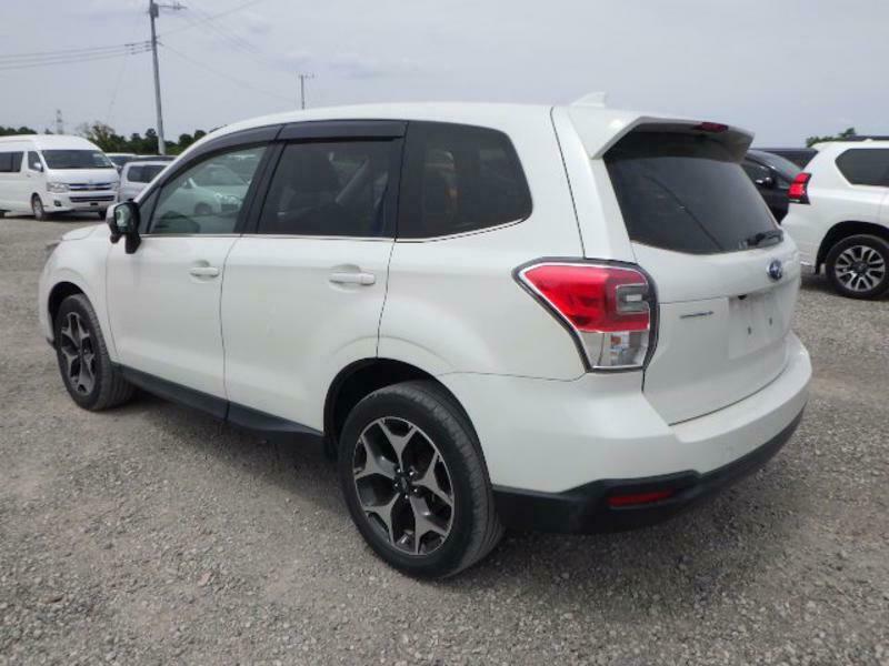 FORESTER