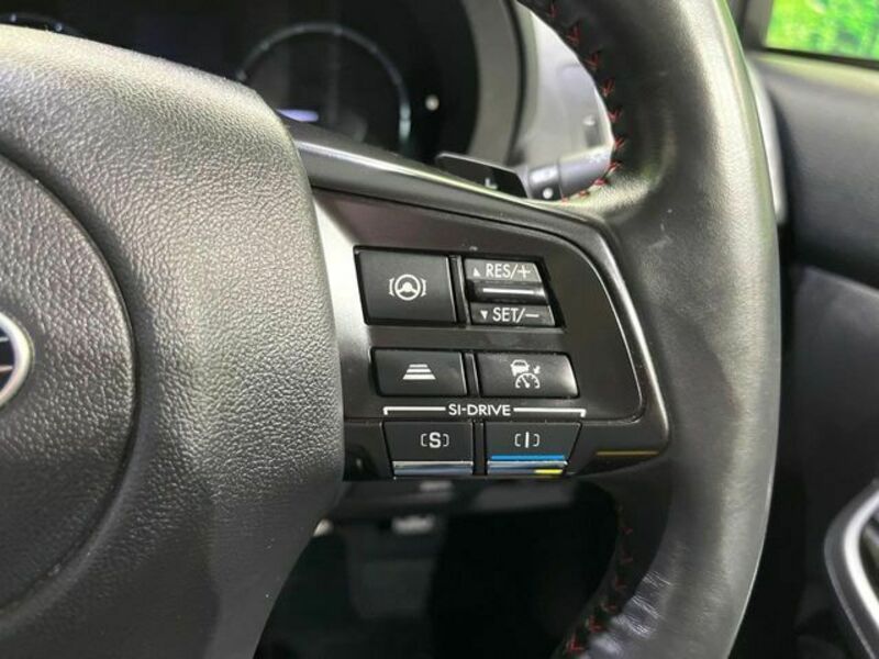 LEVORG-4