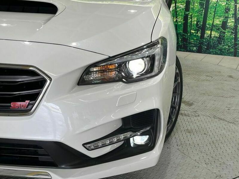 LEVORG-12