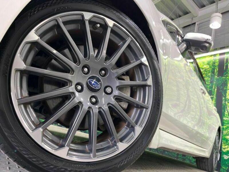 LEVORG-13
