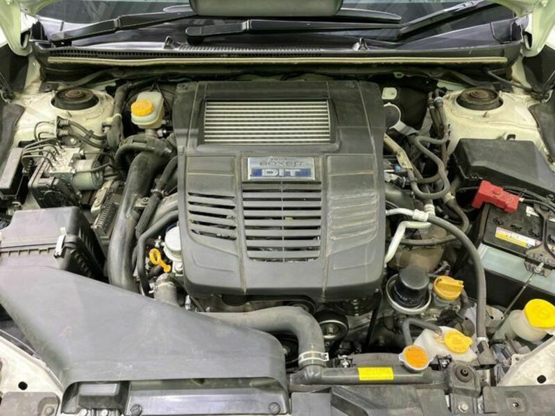 LEVORG-18