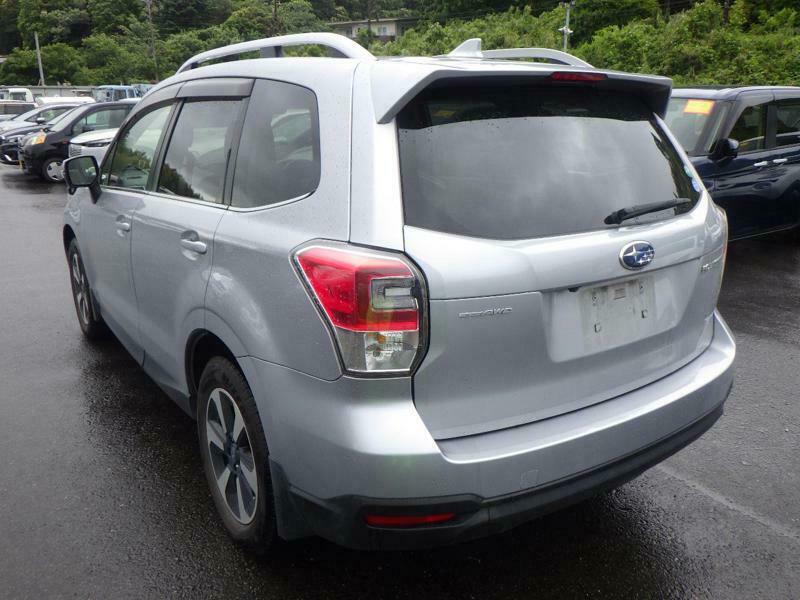FORESTER