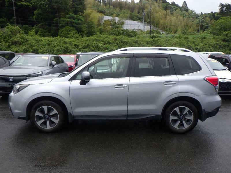 FORESTER