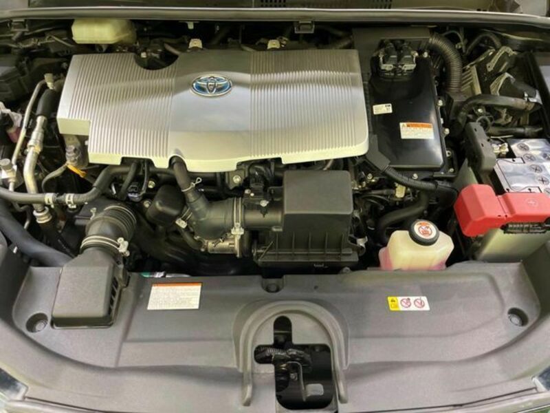 PRIUS-17