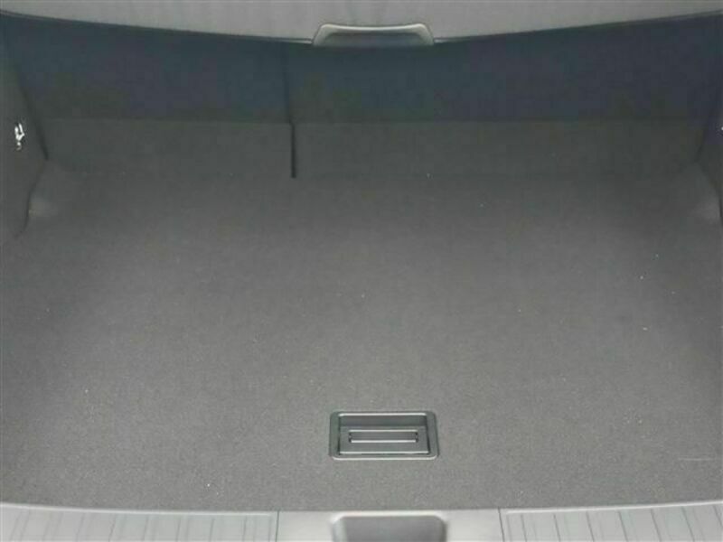 PRIUS-19