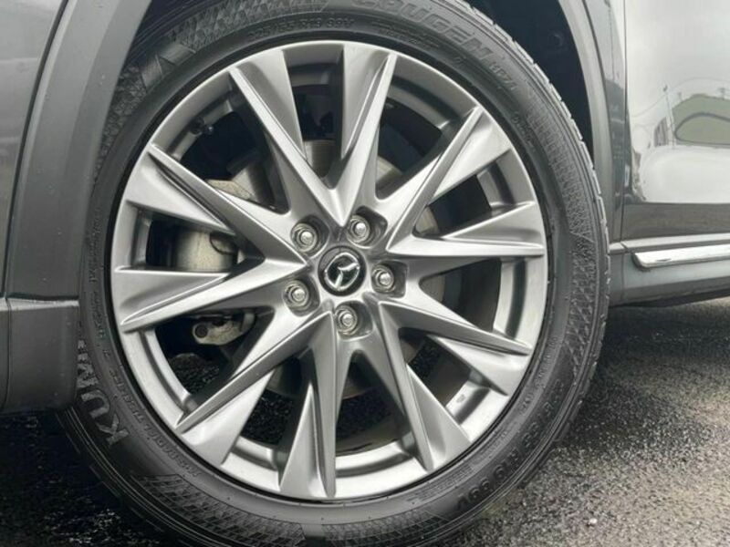CX-8