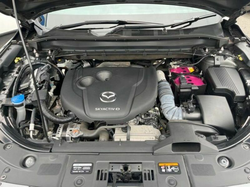 CX-8