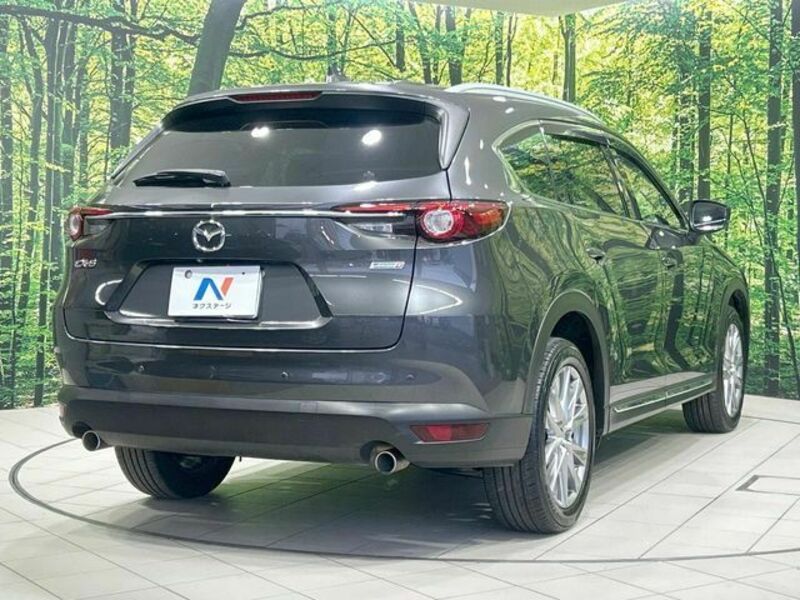 CX-8