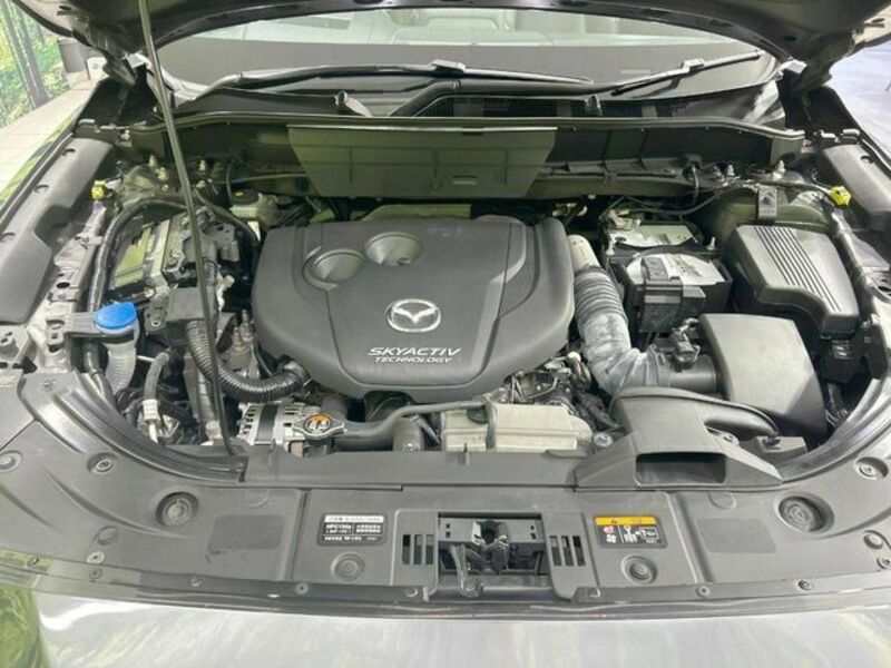 CX-8
