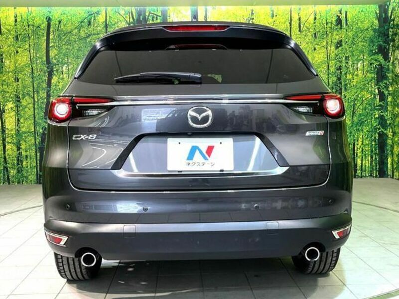 CX-8