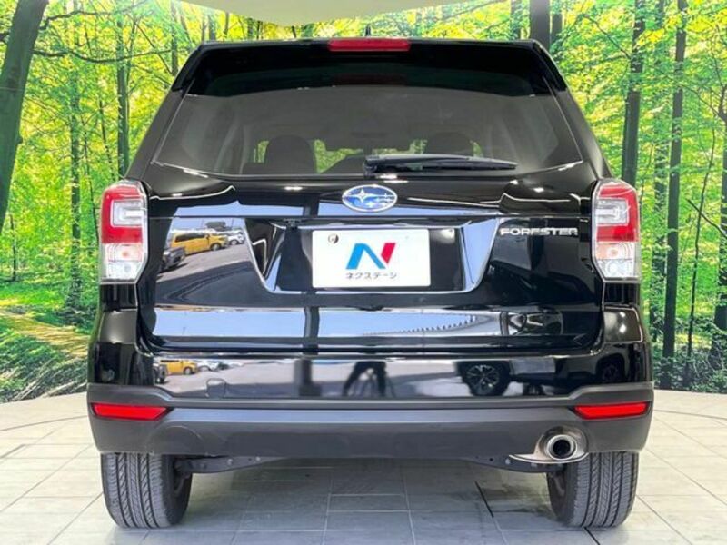 FORESTER
