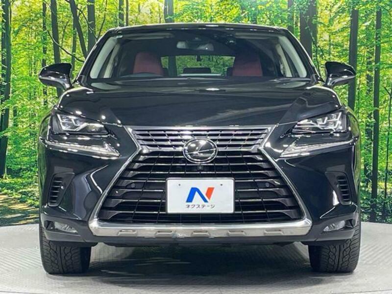 NX