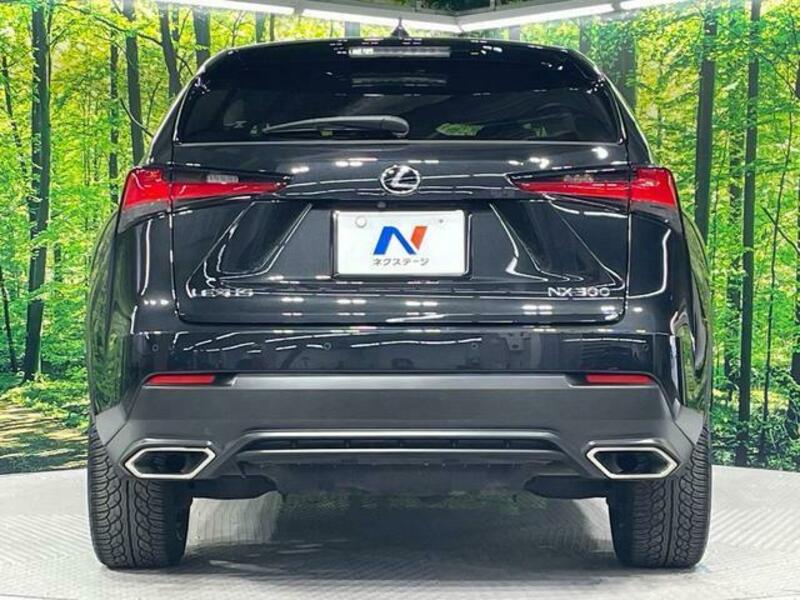 NX