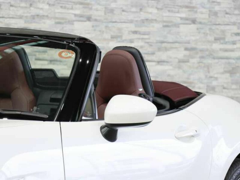 ROADSTER-16