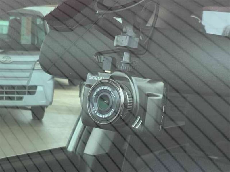 FORESTER-3