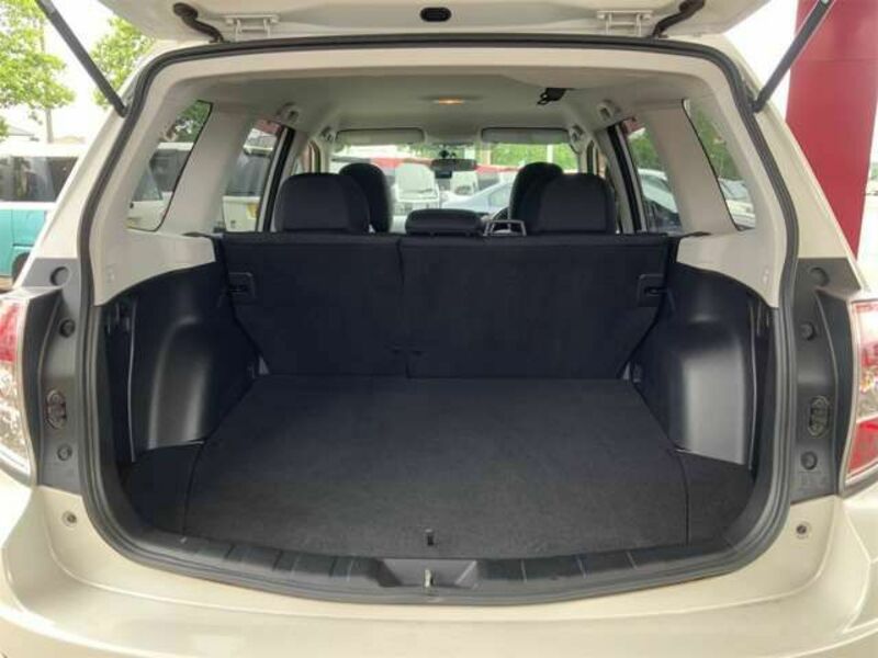 FORESTER-17