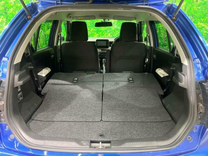 IGNIS-10