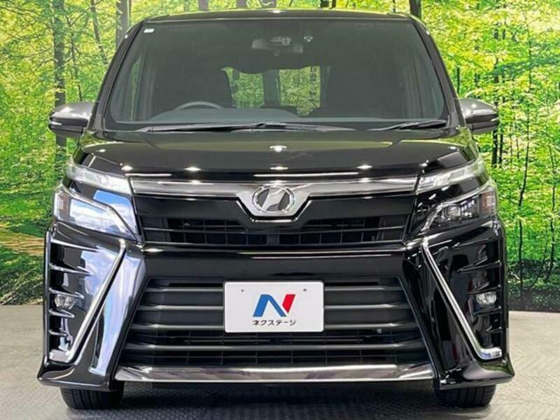 VOXY-14