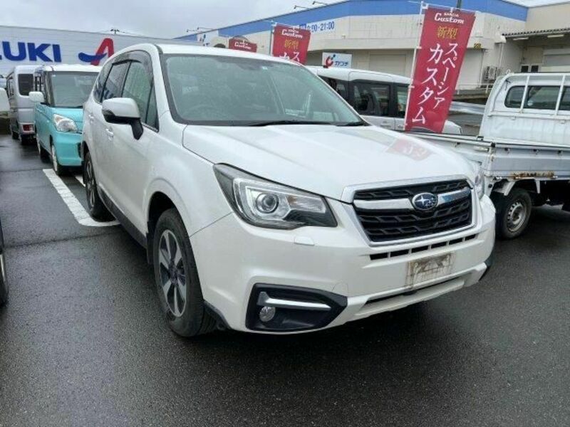 FORESTER