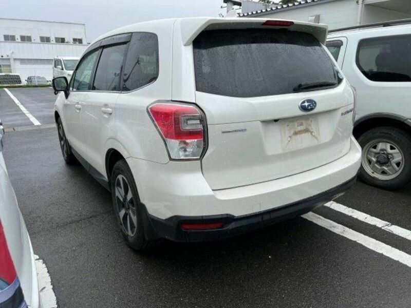 FORESTER-1