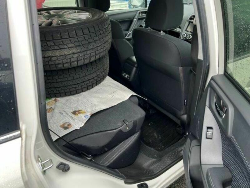 FORESTER-3