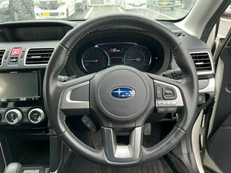 FORESTER-6