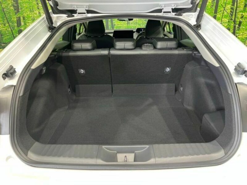 PRIUS-9
