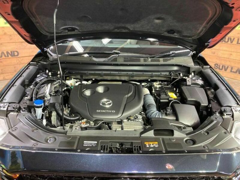CX-5-17