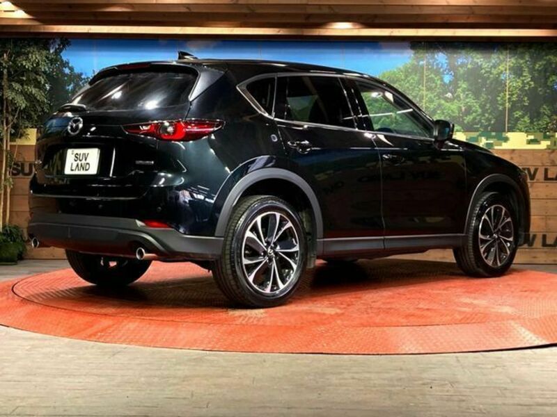 CX-5-17