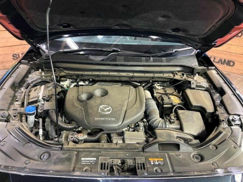 CX-5-18