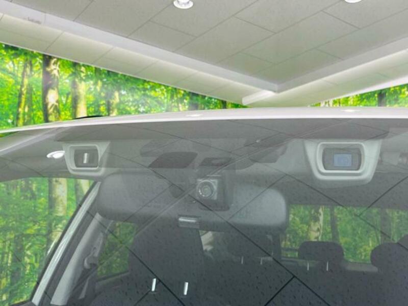 FORESTER-4