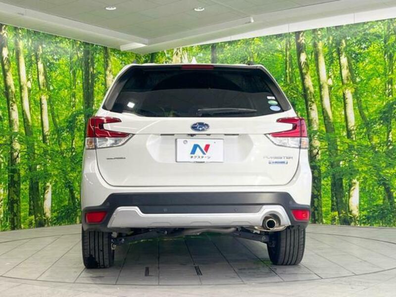 FORESTER-15