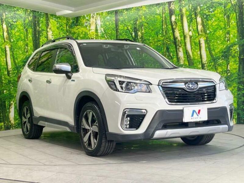 FORESTER-16