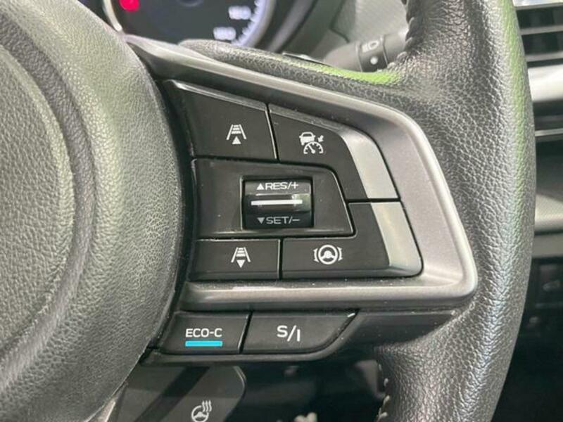 FORESTER-6