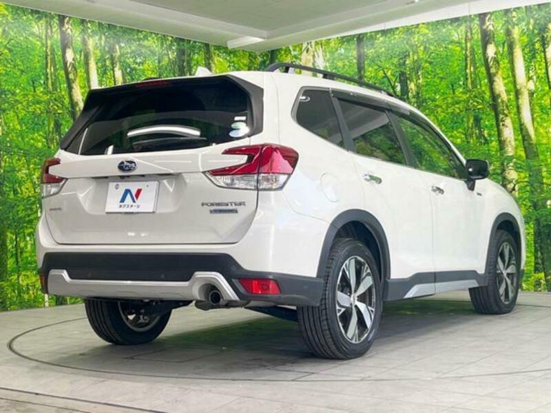 FORESTER-17