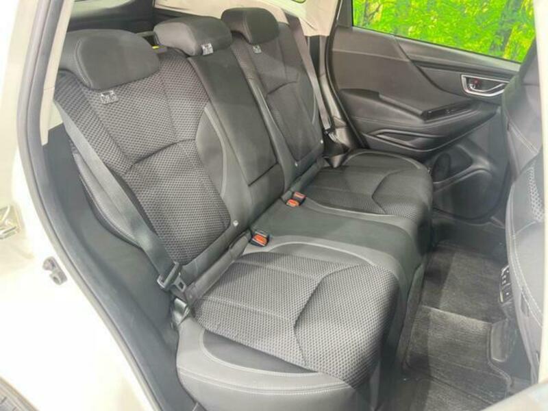FORESTER-9