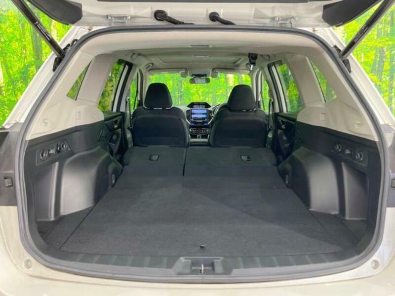 FORESTER-10