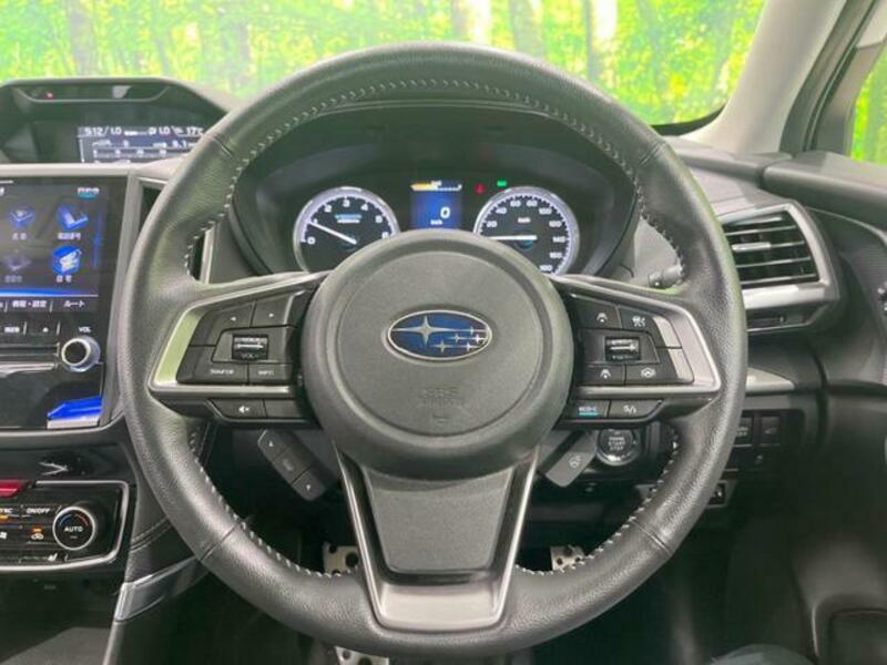 FORESTER-11