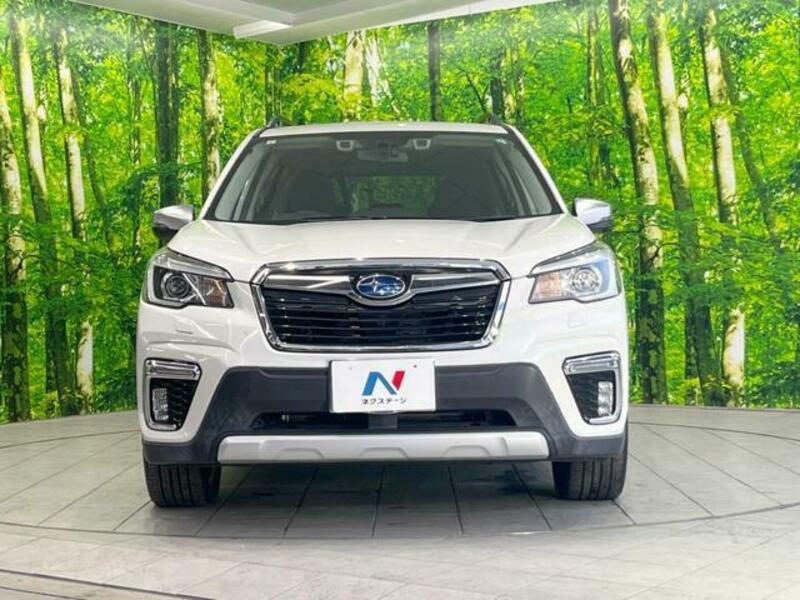 FORESTER-14