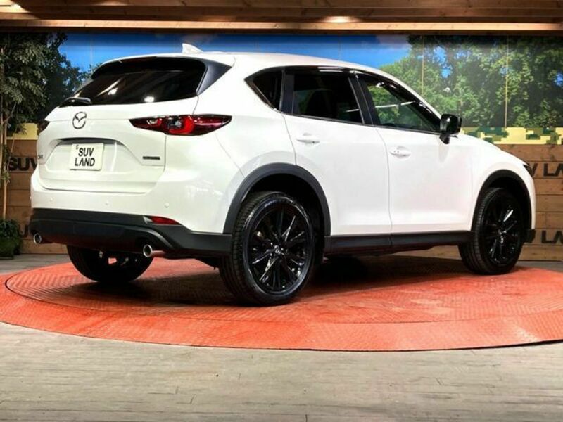 CX-5-17