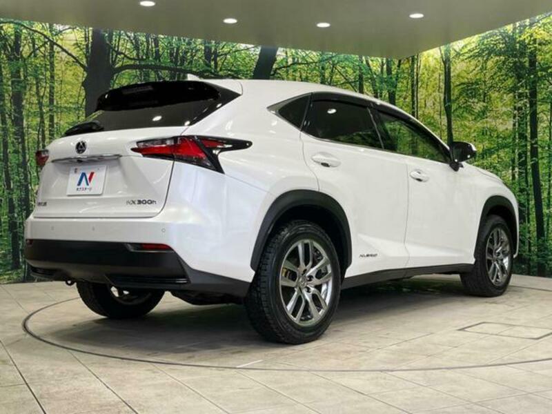 NX
