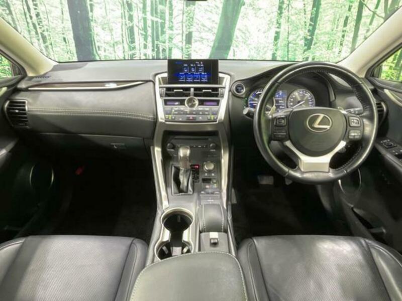 NX