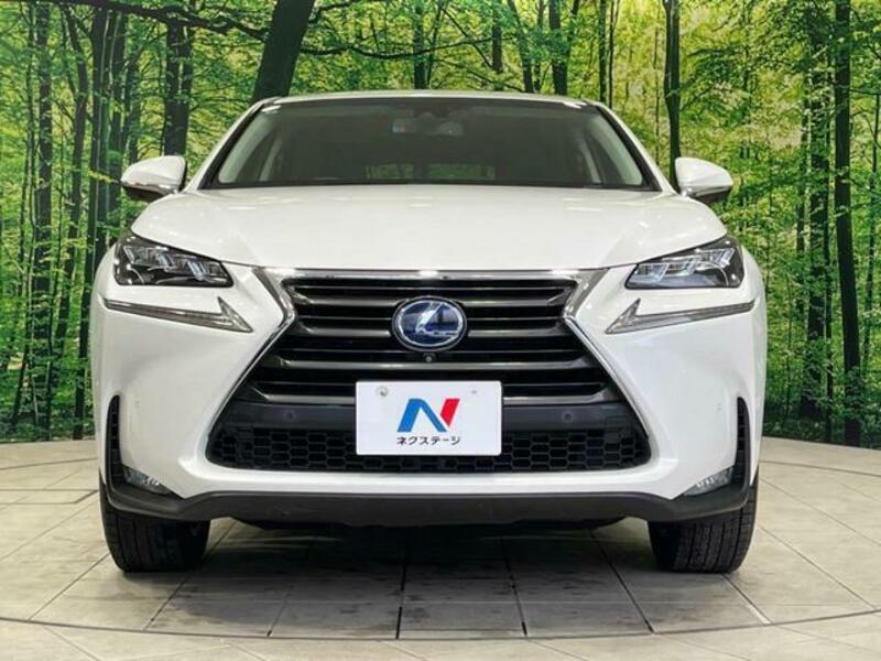 NX