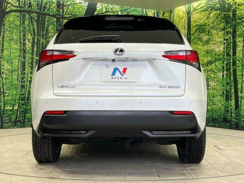 NX