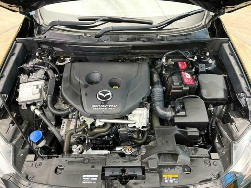 CX-3