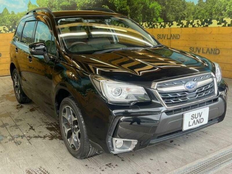 FORESTER